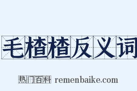 毛楂楂反义词是什么意思的图片